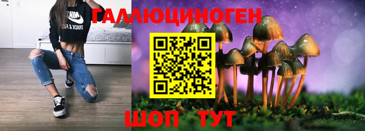 Моршанск  купить закладку  Галлюциногенные грибы MAGIC MUSHROOMS  Вход с VPN  Галлюциногенные грибы Cubensis 