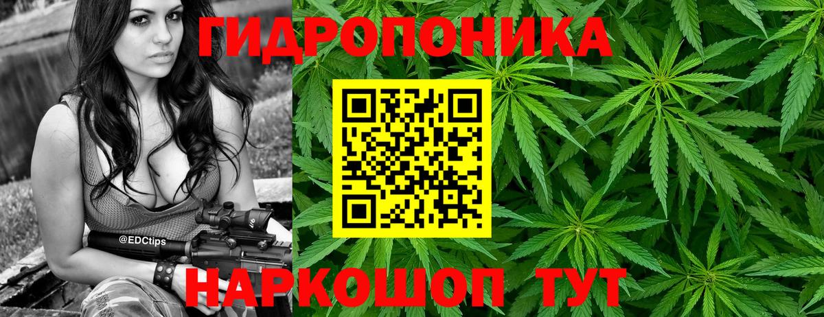 МАРИХУАНА AK-47  Каннабис VHQ  Шишки марихуана семена  Моршанск  Вход с VPN  МАРИХУАНА AK-47 
